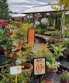 photo_1547750147816