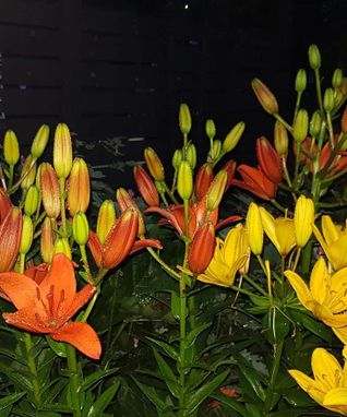 IMG_20230729_190712_371
