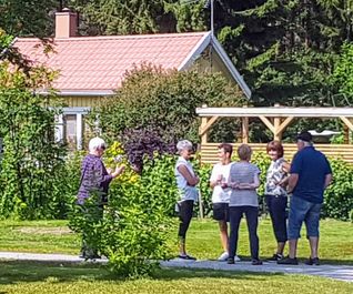 fårölottensdag-66