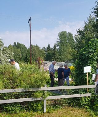 photo_1547758290440
