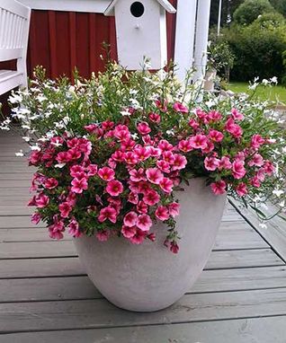 bild5 (1)