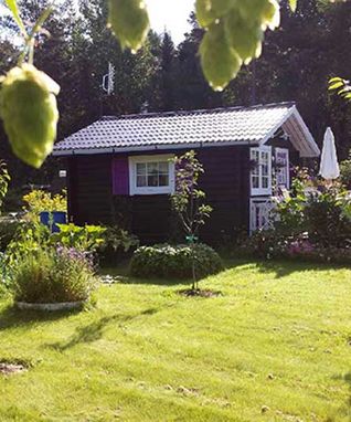bild3web
