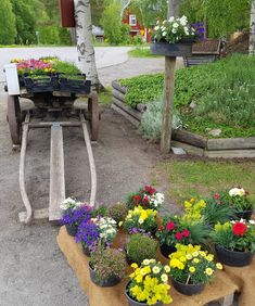 photo_1547748738887