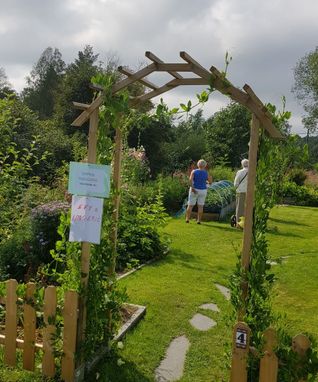 photo_1547756704150