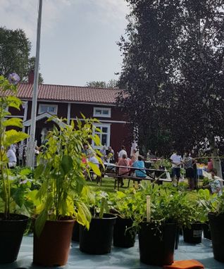 photo_1547758355462