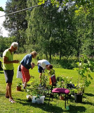 photo_1564476966525