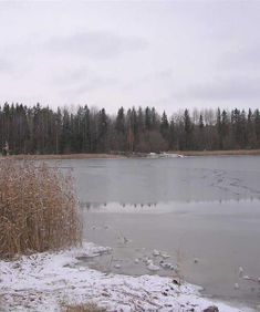 faroaret-65