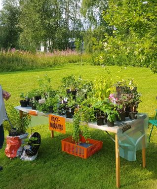 photo_1547756555934