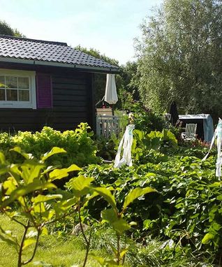 bild15web