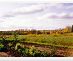 bild_03