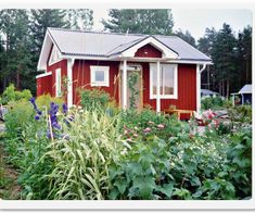 bild_35
