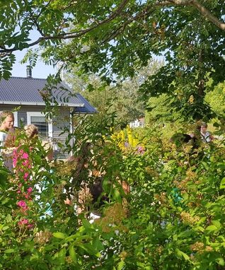 photo_1547758519602