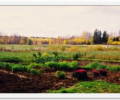 bild_04
