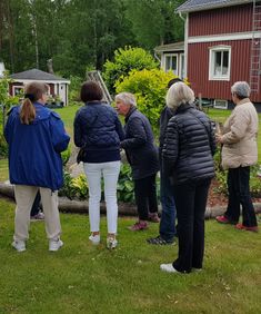 photo_1547748798007