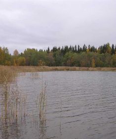 faroaret-51
