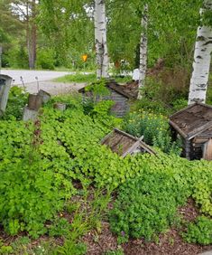 photo_1547749211973