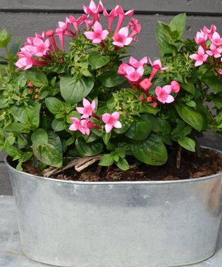 5_blomma_35