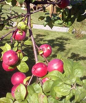 bild9
