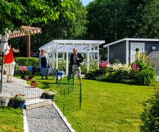 fårölottensdag-85