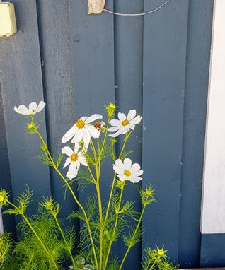 6-22