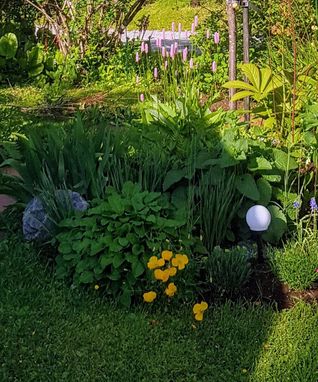 3-lyktplantering