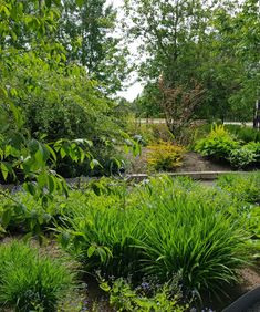 photo_1547749748401