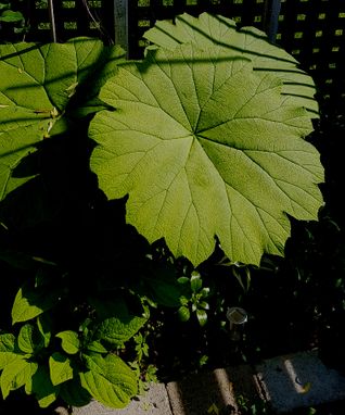 20220620_153042 (1)