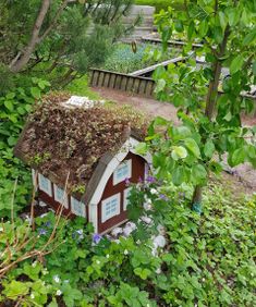 photo_1547749318209