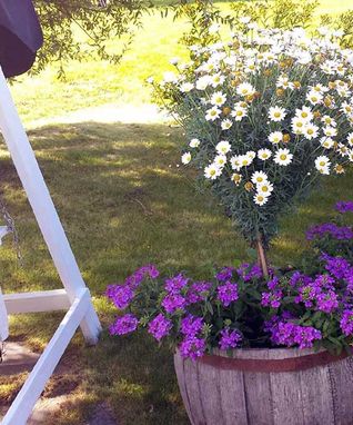 bild11web