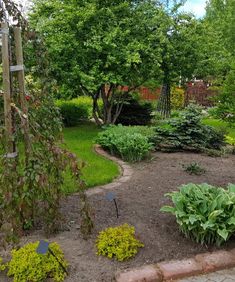 photo_1547749560050