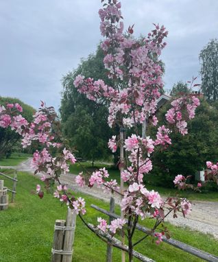 IMG_1710