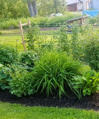 3-plantering