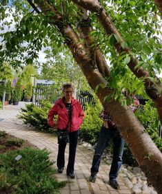 photo_1547749807958