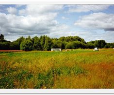 bild_01