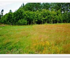 bild_02